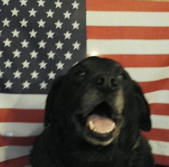 Meet your Posher, Jim - Picture 1 of 1